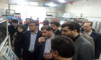 بازدید معاون امور صنایع وزارت صنعت از شهرک‌های صنعتی خوزستان 